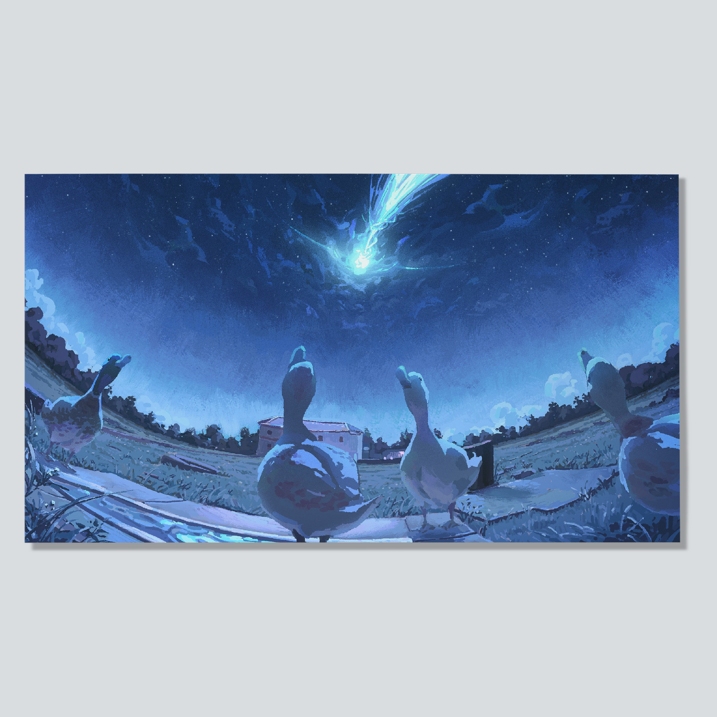 "Have you ever witnessed anything like this before?" Meteor duck print