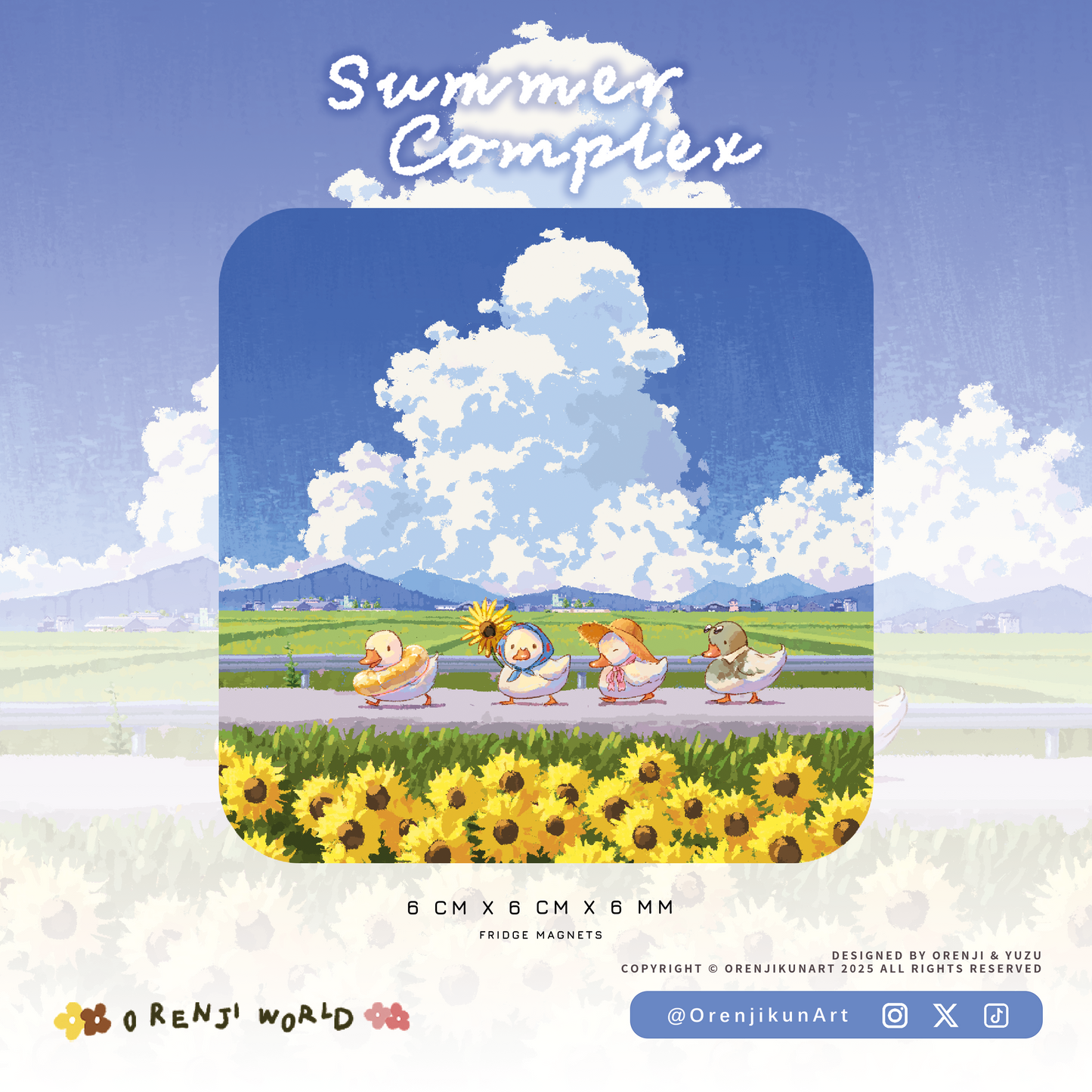 Duck Fridge Magnets- Summer Complex ♫
