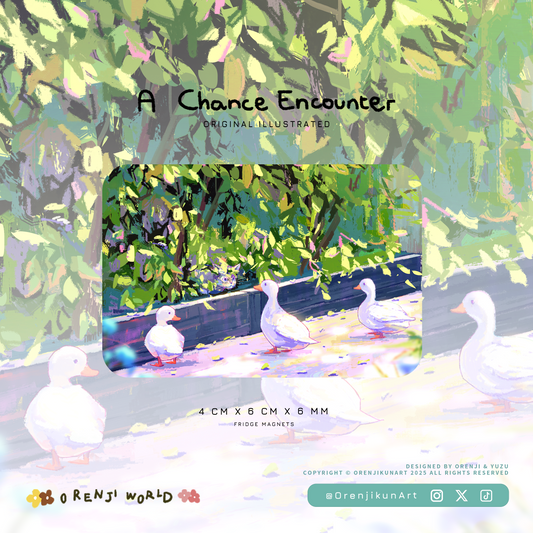 Duck Fridge Magnets-A chance encounter