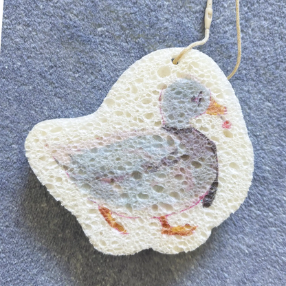 Duck Sponges