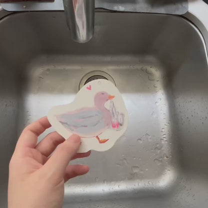 Duck Sponges